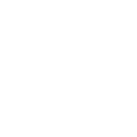 Swiss ball icon
